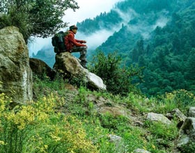 holiday packages to Himachal pradesh