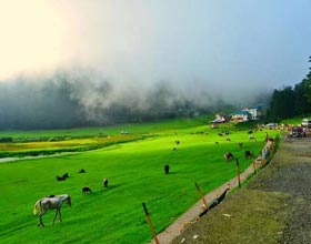 travel packages to Himachal pradesh
