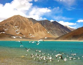 Ladakh Trip for 7 Days