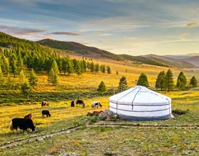Tour Packages to Mongolia